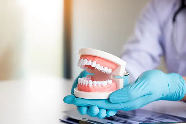 Dentist wearing gloves holding a detailed denture model to explain its structure and use at Riverwind Dental in Henrico, VA