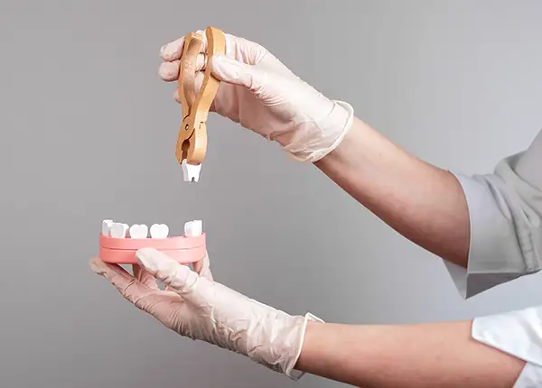 A dentist wearing gloves using a dental tool to extract a tooth from a model of teeth at Riverwind Dental in Henrico, VA